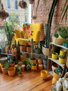 Corner of Floret Plants, featuring several pots and potted plants.  